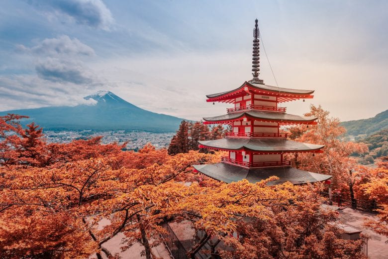 Insiders View of the Japanese Wine Market | Wine Market Analysis