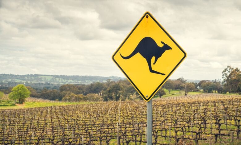 Australian wines nearly dried up in China; exports fall to AU$12 million