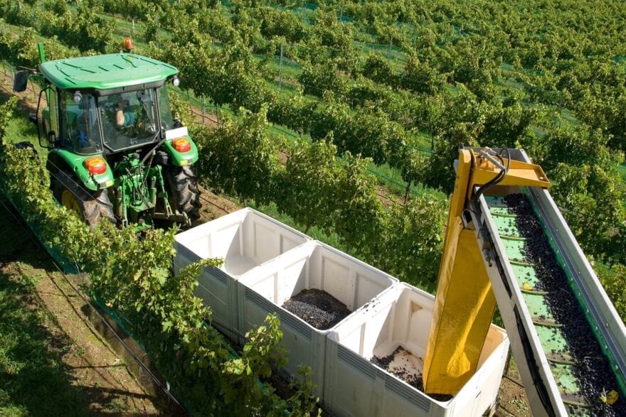 Australia Lodges WTO Complaint About China's Wine Tariffs