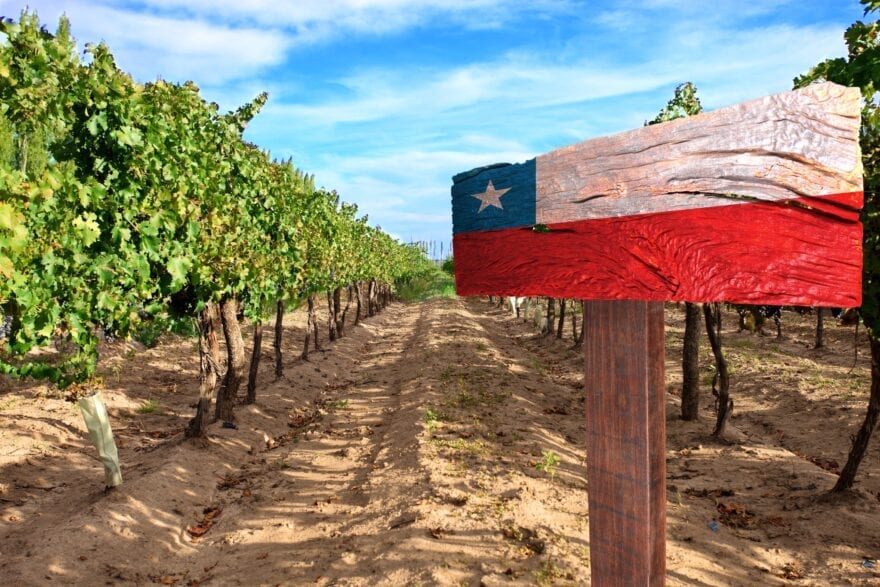 China Buys More Chilean Wine in January-May