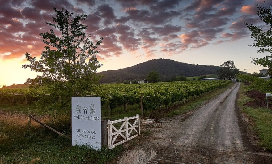 Yarra Yering is Australia's Top Winery in 2021
