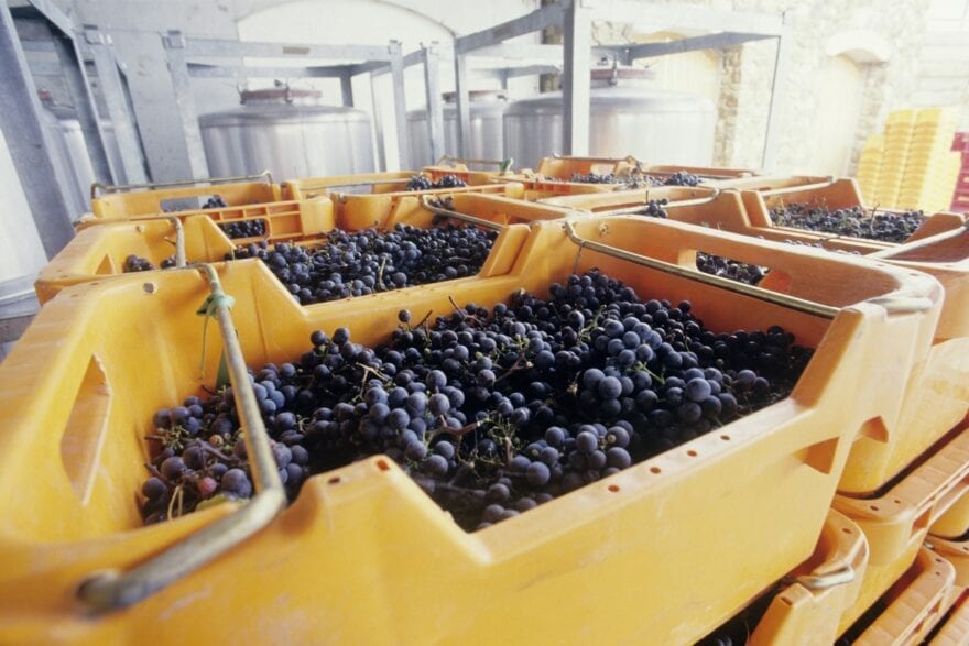 Australia Posts Record Winegrape Crush in 2021