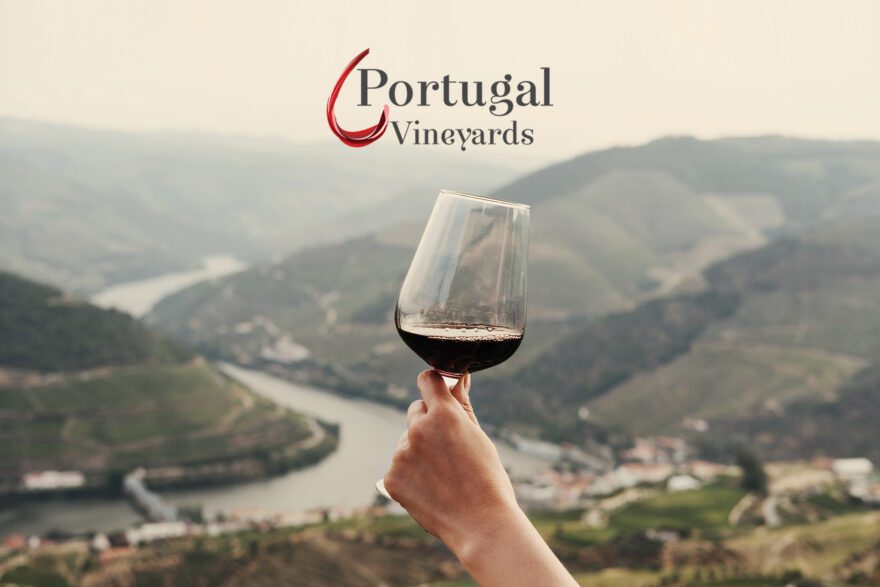 Discover the world of Portuguese wines at PortugalVineyards